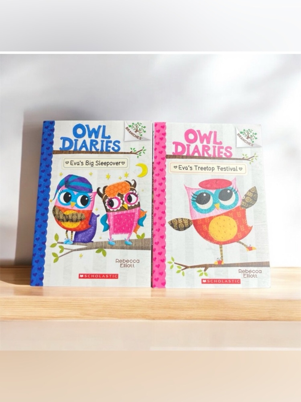 Set of 2 Scholastic Owl Diaries Book Set Book 1 & 9 Rebecca Elliott Kids Reading